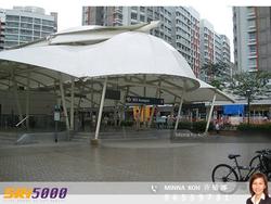 Blk 555 Hougang Street 51 (Hougang), HDB 5 Rooms #117591122